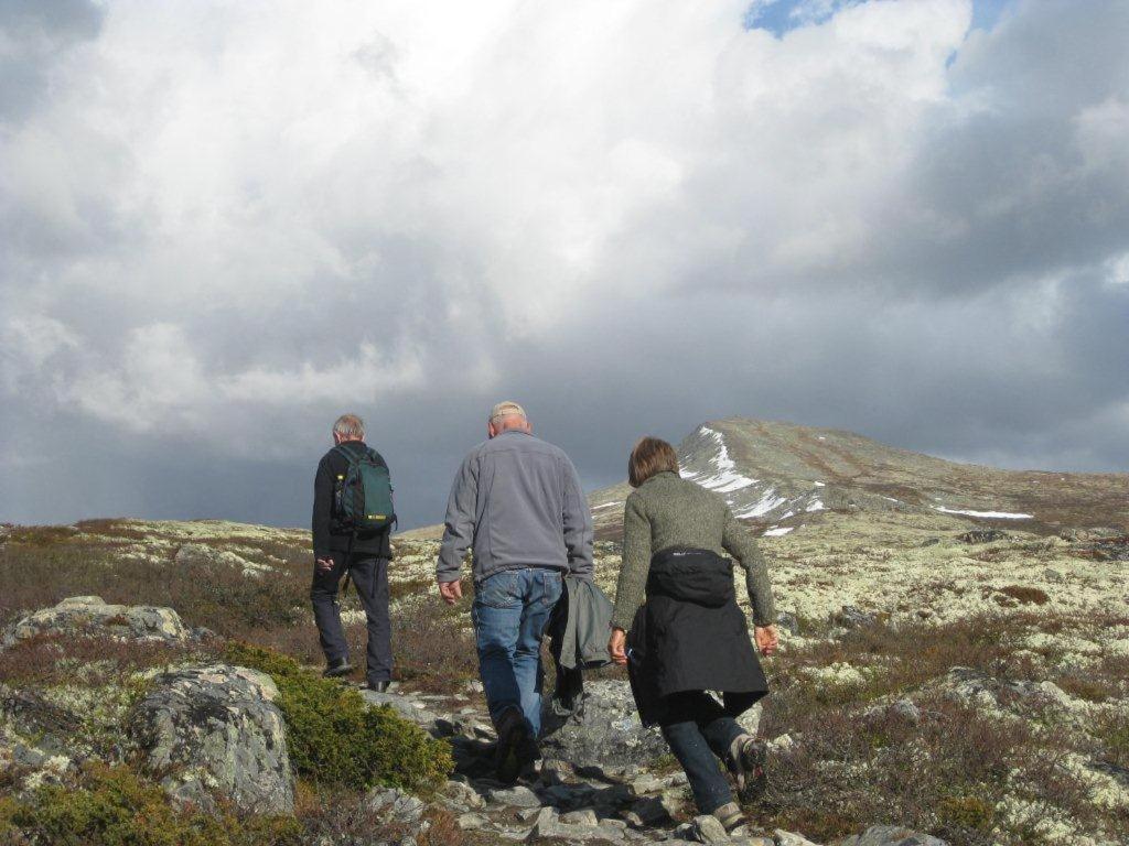 Putten Seter Høvringen المظهر الخارجي الصورة