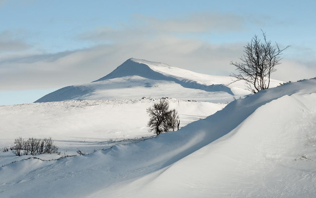 Putten Seter Høvringen المظهر الخارجي الصورة