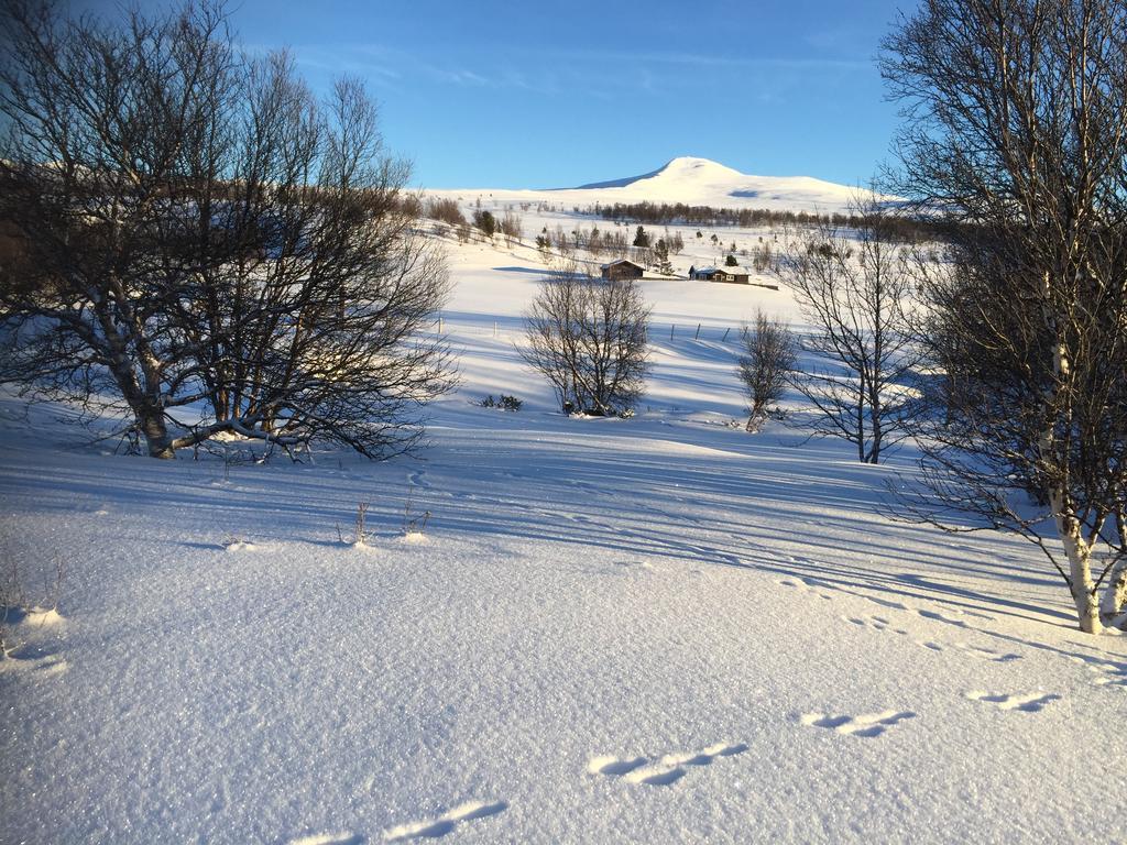 Putten Seter Høvringen المظهر الخارجي الصورة