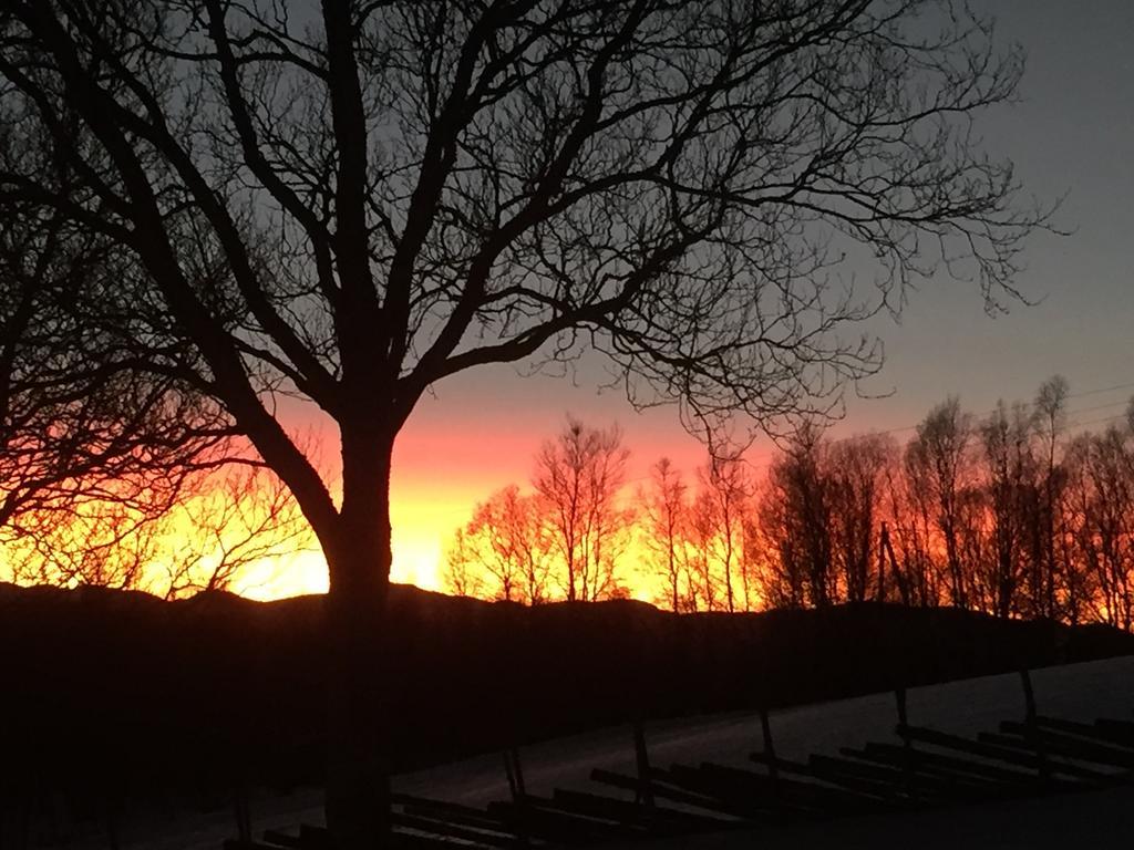 Putten Seter Høvringen المظهر الخارجي الصورة